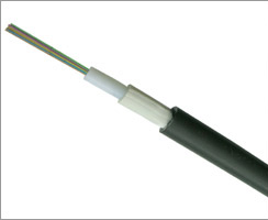 Optinis kabelis SCTG-0-12SM